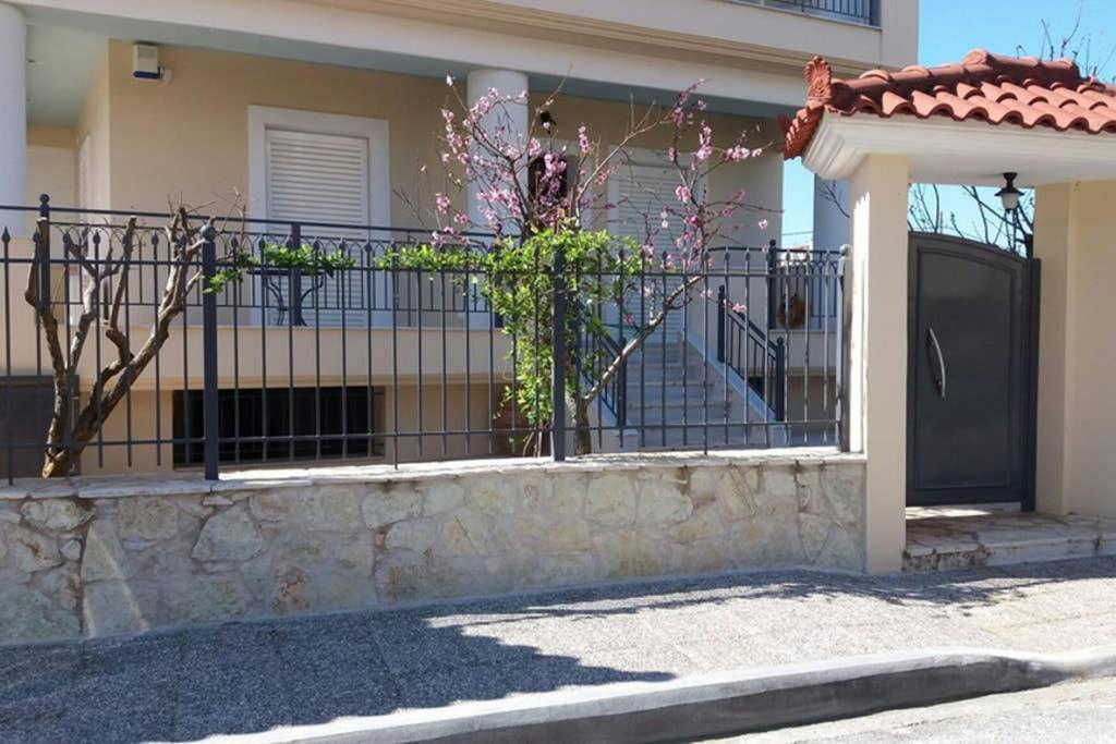 New, Bright, Cozy, Autonomous Apartment With Private Entrance And Garden, 42 M2, 5Min To The Beach And City Center Kalamata Exteriör bild
